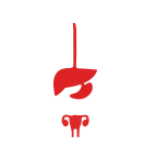 经自然腔道解决计划